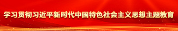 草妣免费视频学习贯彻习近平新时代中国特色社会主义思想主题教育