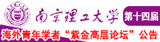 老淫湿视频在线南京理工大学第十四届海外青年学者紫金论坛诚邀海内外英才！